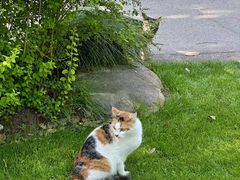 -上海植物园-4号门售票处