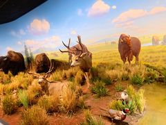 -陕西自然博物馆