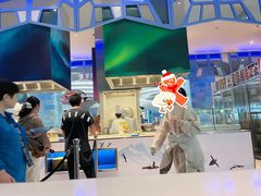 -帝企鹅自助餐厅•儿童岛•真企鹅(长隆企鹅酒店)