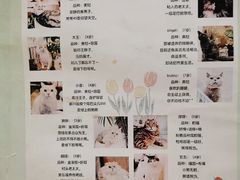 -小时光咖啡馆(北锣鼓巷店)