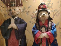 -济州岛泰迪熊博物馆