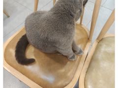 -中医药大学-第2食堂