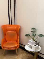 -YESIDO椰岛造型