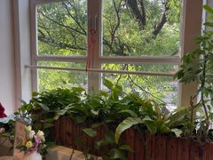 -雕刻时光咖啡馆(北师大店)