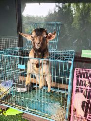 -可可天空农场(中大店)