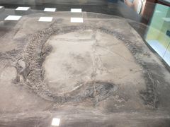 -大同煤炭博物馆