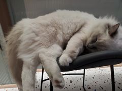 -FULL MOON满月咖啡