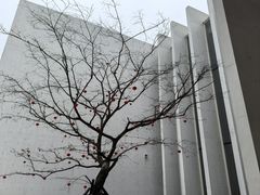 -中国宣纸文化园