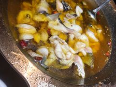 -雲蜀龙阁·金牌水煮鱼(方庄店)