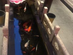 -唔呶喔哩酒家(生产街店)