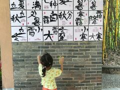 -广西壮族自治区药用植物园