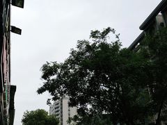 -科巷菜场