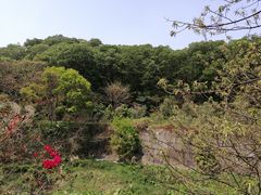 -云溪植物园