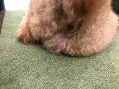 -北京恒爱动物医院(清景园分院)