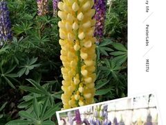 -白塘生态植物园