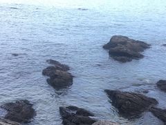 -黑石礁公园
