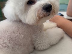 -海门爱心宠物医院