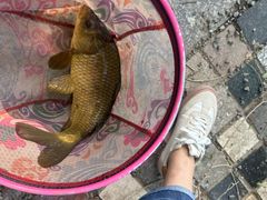 -酷鱼垂钓CLUB(朝阳区博大路店 )