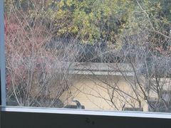 -泰康拜博口腔医院(海曙店)