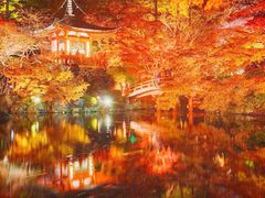 -醍醐寺