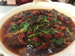 -圣厨牛腩(青春岛社区玉寿苑店)