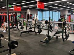 -金吉鸟健身游泳