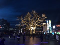 -道口麻辣烫·烧烤(五道口店)