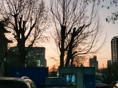 -山东大学(趵突泉校区)