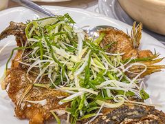 -凤城礼记鱼翅海鲜酒家(新马路总店)