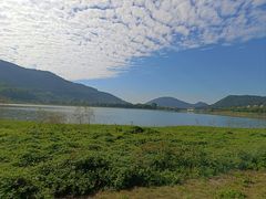 -风云岭森林公园