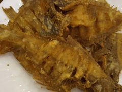 -林之六八·6886大连老菜馆