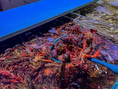 -聚盛源蒸汽海鲜火锅烤肉自助(巨川金海岸购物广场店)