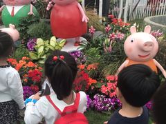 -上海鲜花港