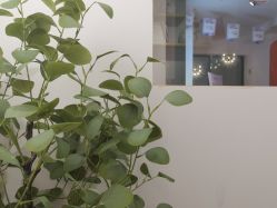 -S庆熙美学皮肤管理