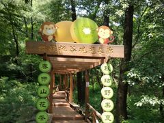 -大岭沟猕猴桃谷风景区