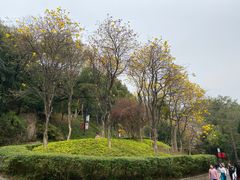 -广州市白云山风景名胜区