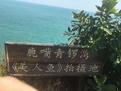 -杨梅坑