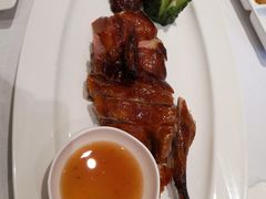 -沪碟·精菜坊(闵行店)