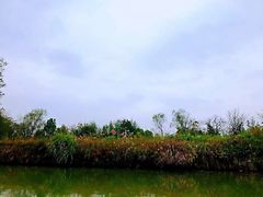 -西溪国家湿地公园