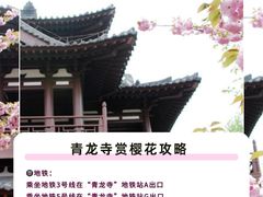 -西安青龙寺遗址景区