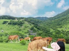 -大姆山草场