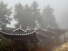 -紫鹊界梯田景区