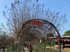 -武汉紫薇都市田园