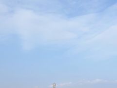 -上海吴淞炮台湾国家湿地公园