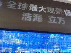 -成都浩海立方海洋公园