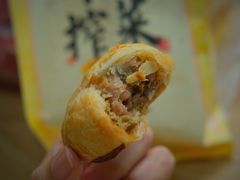 鲜肉榨菜月饼-九月生活(新市街店)
