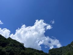 -牛背梁国家森林公园