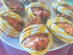 -生态苑农庄(十里画廊遇龙河店)