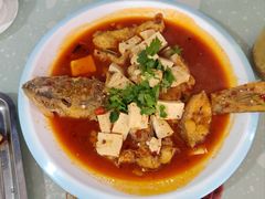 -煲来饱去冷水鱼