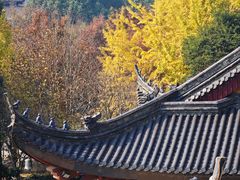 -上海东林寺(金山区)